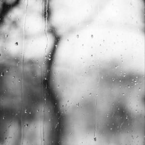 没了我你依然拥有太阳（翻自黄霄云）