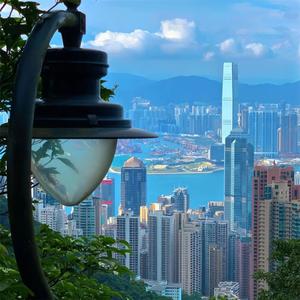 红尘纷扰 情未了