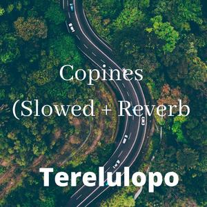 Copines (Slowed + Reverb) (Slowed) (Slowed)