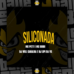 Siliconada