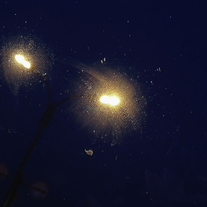 丸の内サディスティック（Cover 椎名林檎）