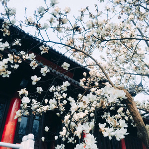 少年锦时（小解放版）