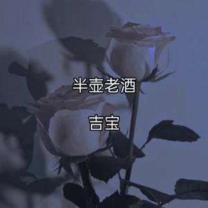 半壶老酒