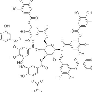 Acid Tannic（翻自 杨末）
