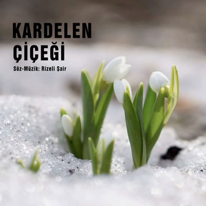 Kardelen Çiçeği