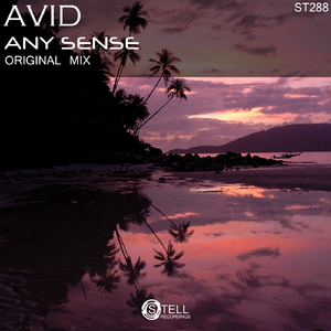 Any Sense (Original Mix)
