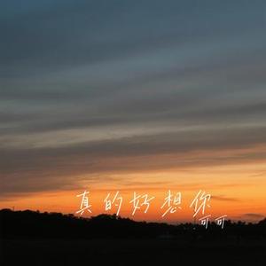 真的好想你 (Cover 卓依婷)