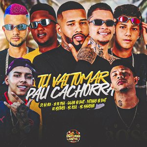 Tu Vai Tomar Pau Cachorra