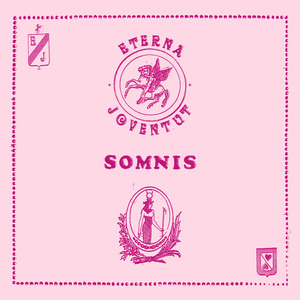 Somnis