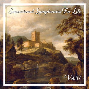 Andante C-Dur Für Flöte Und Orchester KV 315