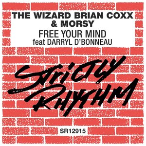 Free Your Mind (feat. Darryl D'Bonneau) (New York Groove Mix)