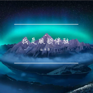 我是狼狈停驻