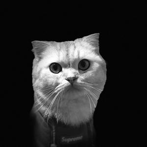 二十岁（终究及随意且乱唱和声Demo）