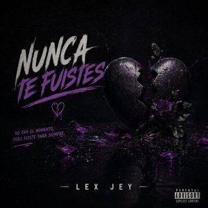 Nunca Te Fuistes