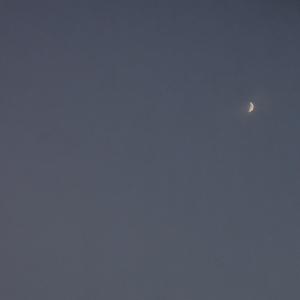 薄 荷 味 的 仲 夏 夜 晚