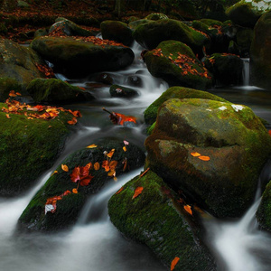 从心觉醒 (民谣版)