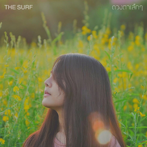 ดวงตาเล็กๆ