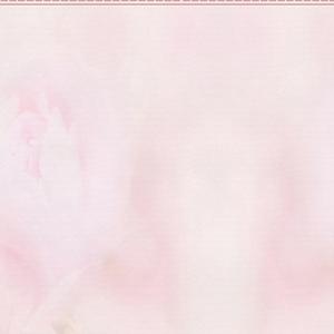 忘情果 (女声完整版)