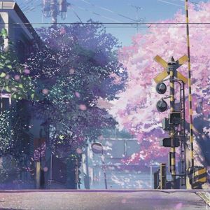 樱花樱花想见你