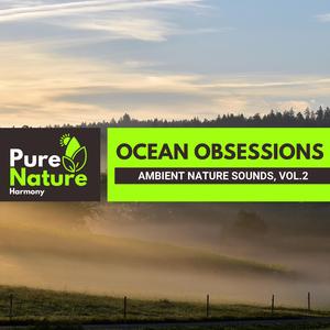 Relaxed Melody of Tennessee Forest Day