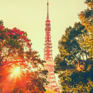 バックグラウンドミュージック(東京ナイト)