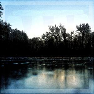 The Last Leaf has Fallen