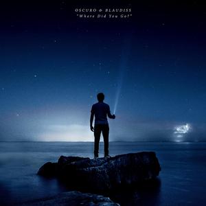 Where Did You Go? (feat. BlauDisS)