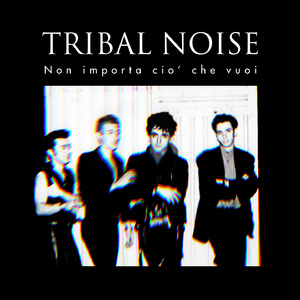 Non importa ciò che vuoi