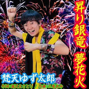 昇り銀竜夢花火
