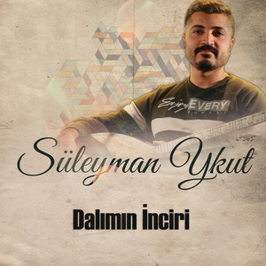 Dalımın İnciri