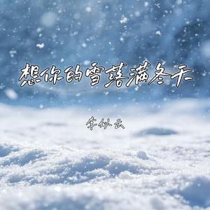 想你的雪落满冬天