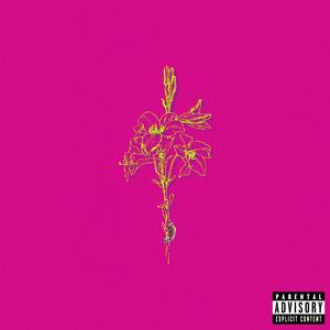 I Don't Think I (feat. Aleks James)