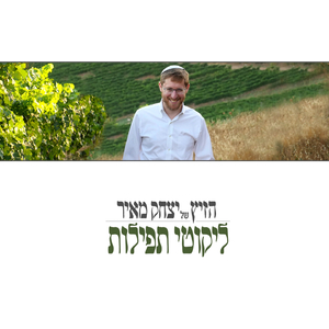 מלך רחמן