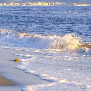 back seat（翻自 Saweetie）