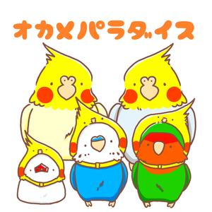 オカメパラダイス♪