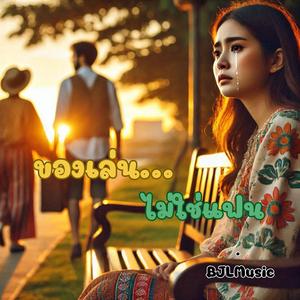 ของเล่นไม่ใช่แฟน