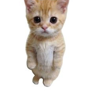 Killer (Slowed + Reverb)