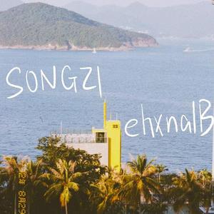 日子与梦（Prod.Bizy)