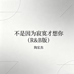 不是因为寂寞才想你 (R&B版)