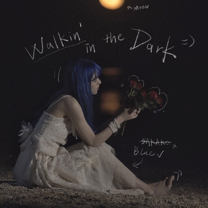 Walkin' in the Dark (黑夜漫步)