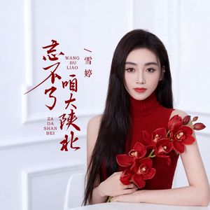 忘不了咱大陕北-伴奏