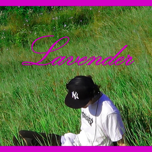 Мерцающие листья