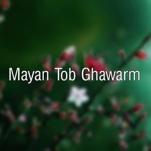 Mayan Tob Ghawarm