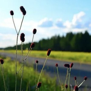 不同维度的自我和解