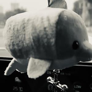 原谅我没有说-混音MASTER