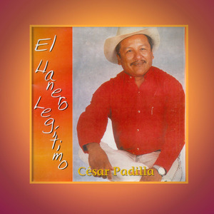 Quiero Seguir Coquetindo