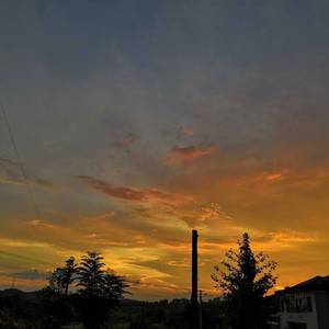 视频提取音频_御龙品青梅1652807387173