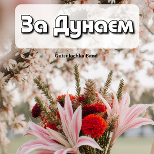 За Дунаєм