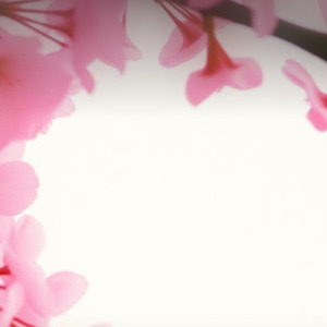 貴方が好きな私は嫌い2