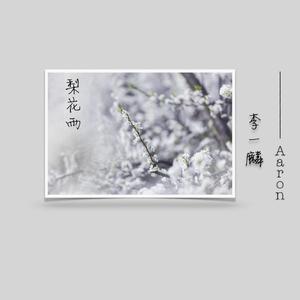 梨花雨